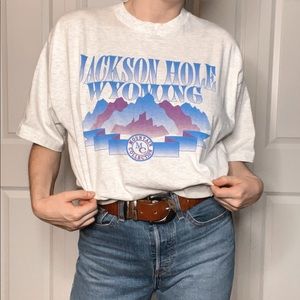 Jackson Hole Wyoming Tourist T-Shirt Blue Gray Purple Men’s Size XL